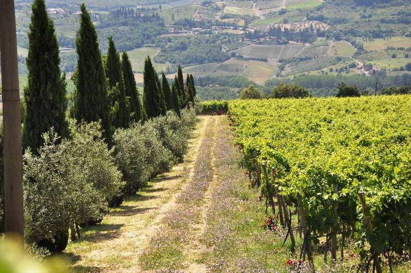 Borgo Castelvecchi Residenza Depoca Ξενοδοχείο Radda in Chianti Εξωτερικό φωτογραφία